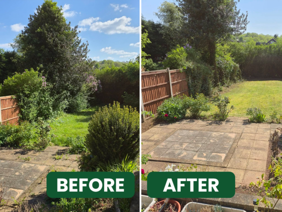 BEFORE-&-AFTER(1) (1)