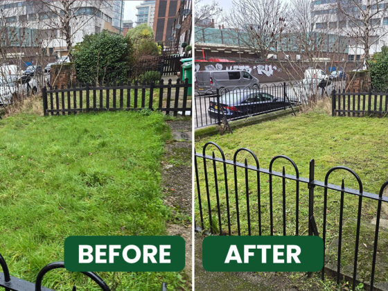 BEFORE-&-AFTER(2) (1)