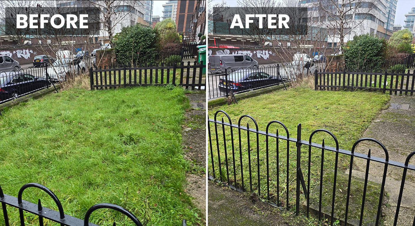 Lawn Cutting Before After