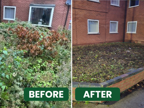 BEFORE-&-AFTER(3) (1)
