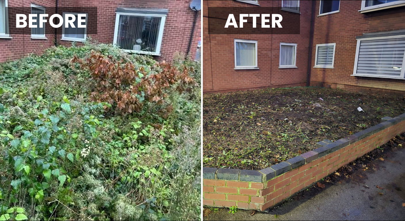 Overgrown Clearance Before After
