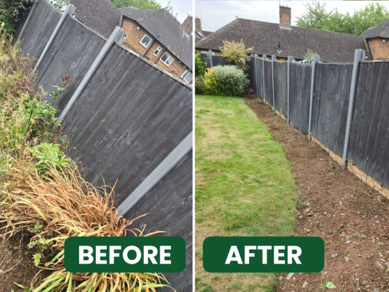 BEFORE-&-AFTER(4) (2)