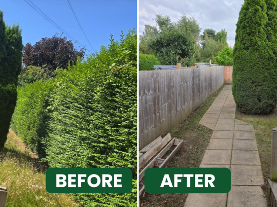 BEFORE-&-AFTER(5) (1)